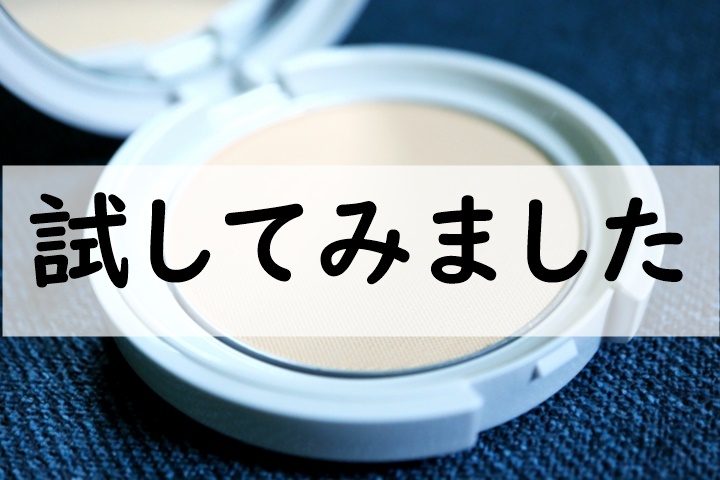 試してみました