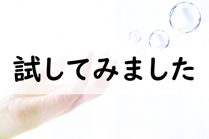 試してみました