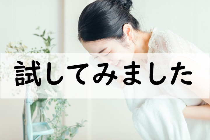 試してみました