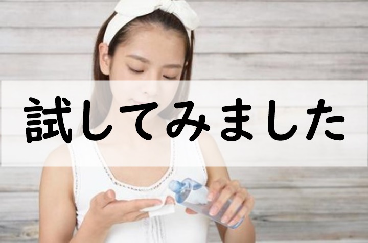 試してみました