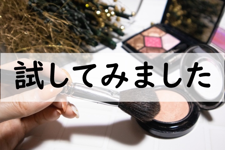 試してみました