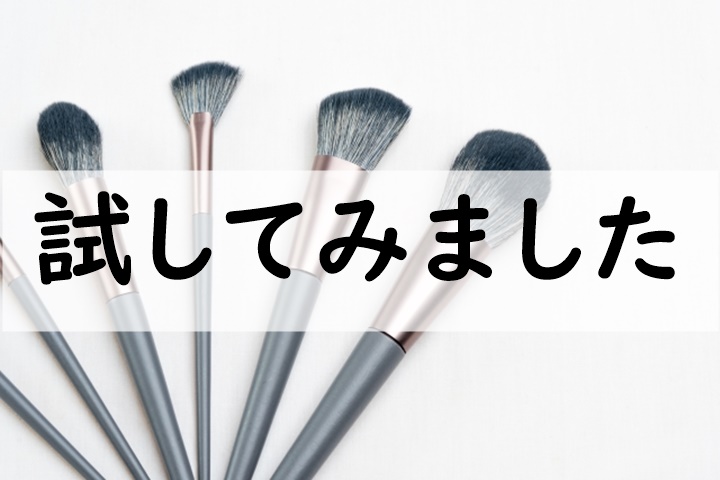 試してみました