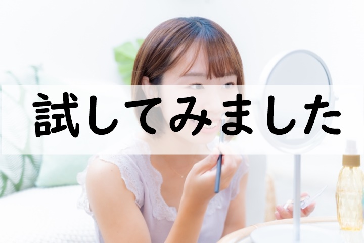 試してみました