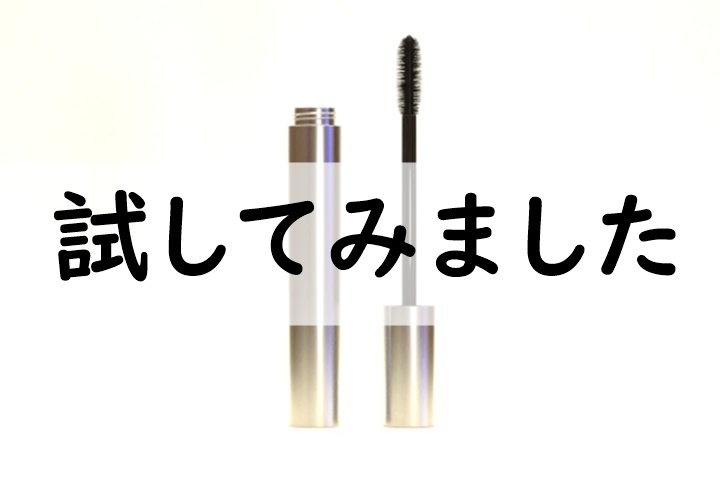 試してみました