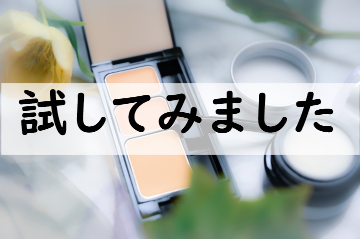 試してみました
