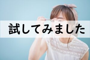 試してみました