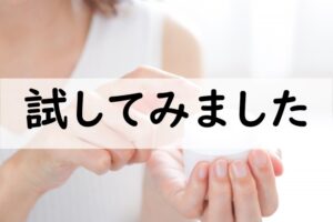 試してみました