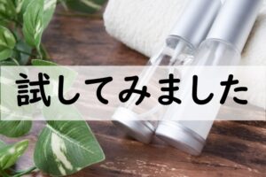 試してみました