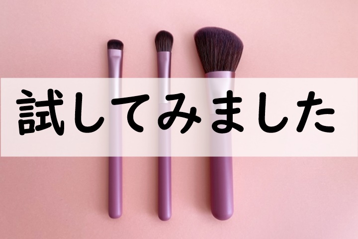 試してみました