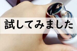 試してみました