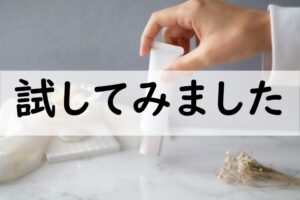 試してみました