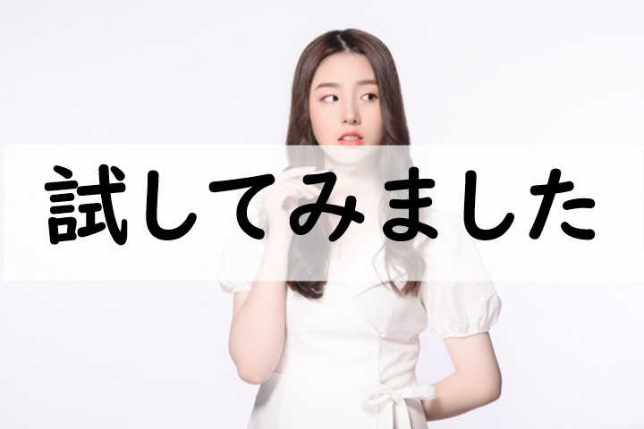 試してみました