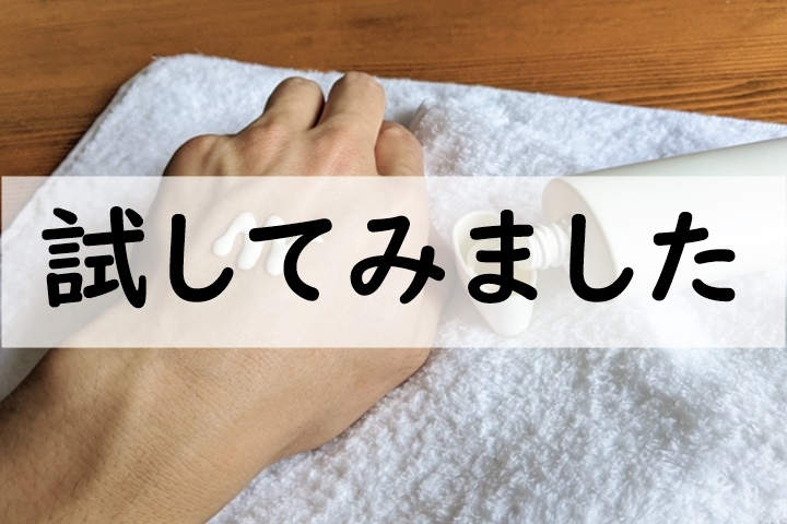 試してみました