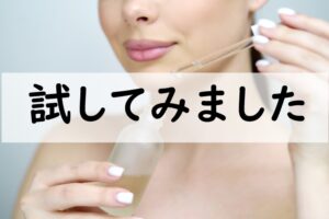 試してみました