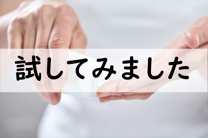 試してみました