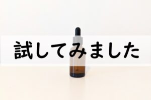 試してみました