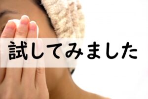 試してみました