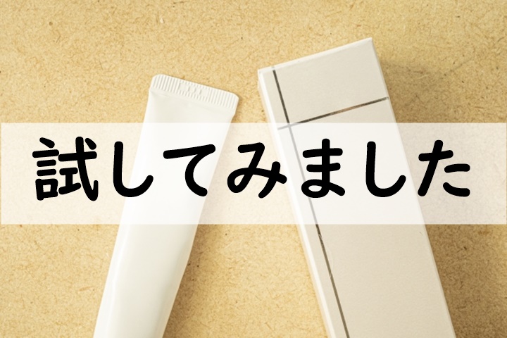 試してみました