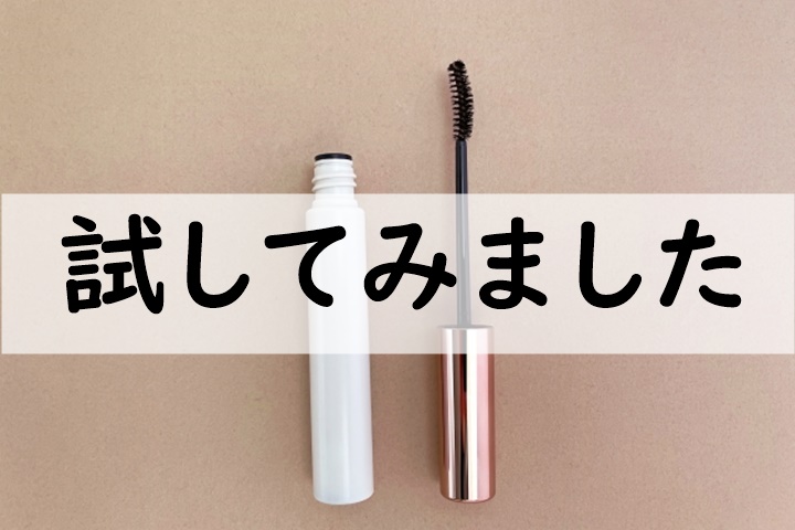 試してみました