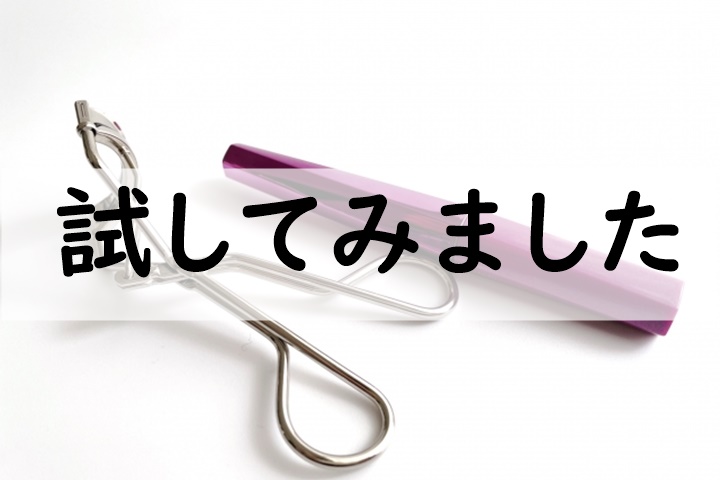 試してみました