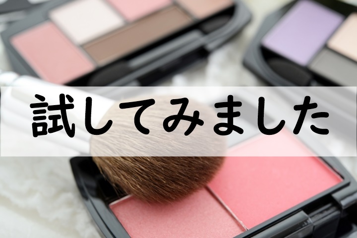 試してみました