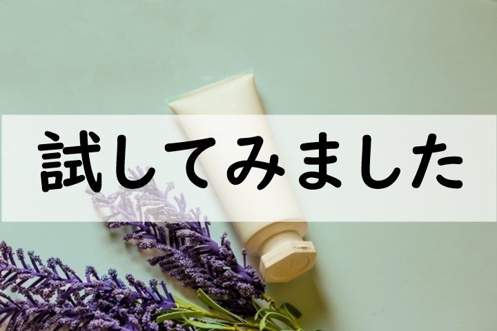 試してみました