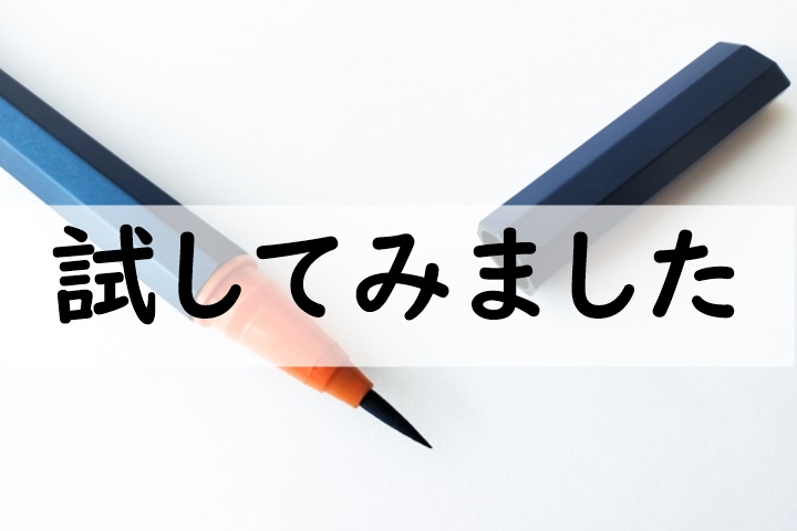 試してみました