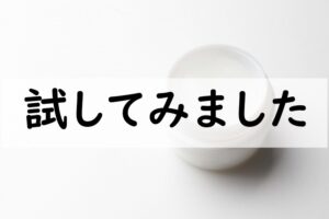 試してみました