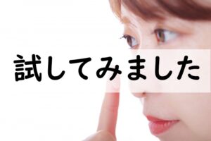 試してみました