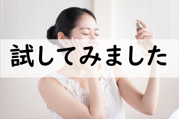 試してみました