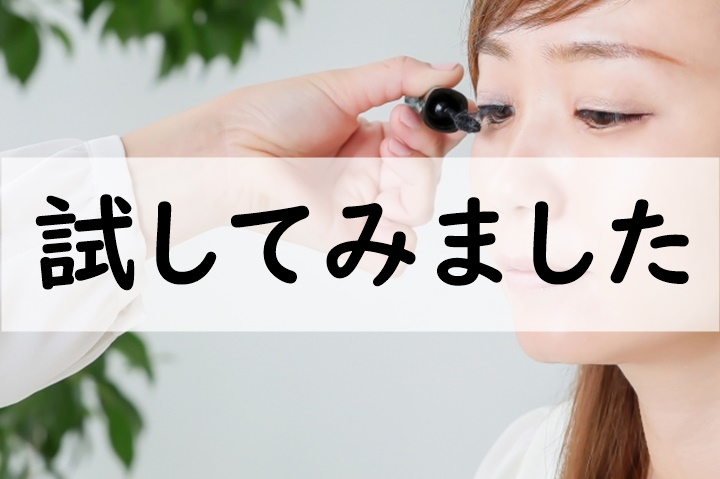 試してみました
