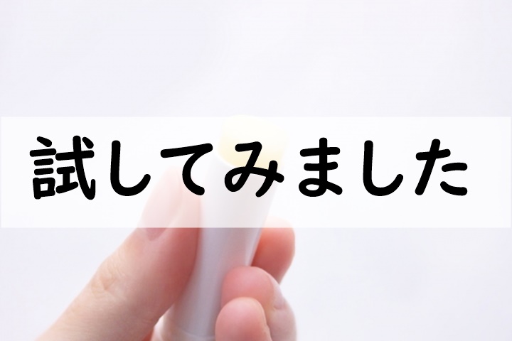 試してみました