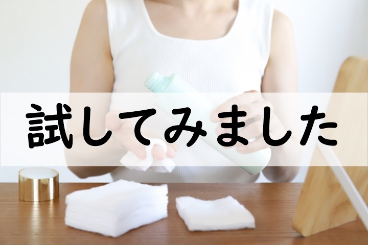 試してみました