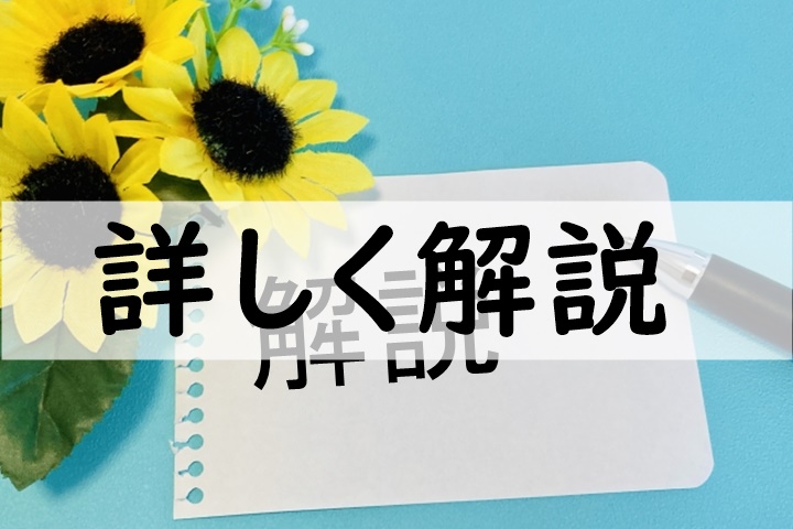 詳しく解説