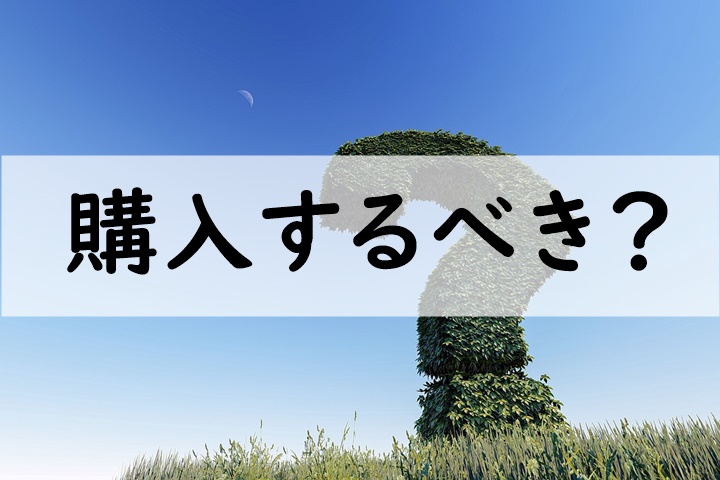 購入するべき