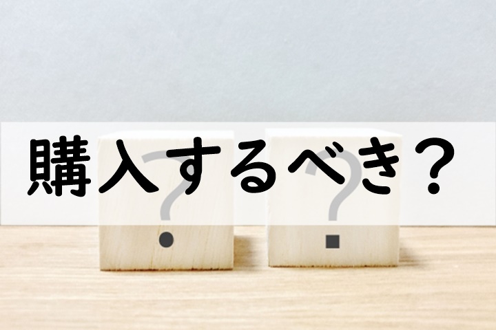 購入するべき