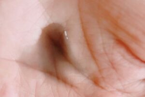 fanclおすすめの使い方1