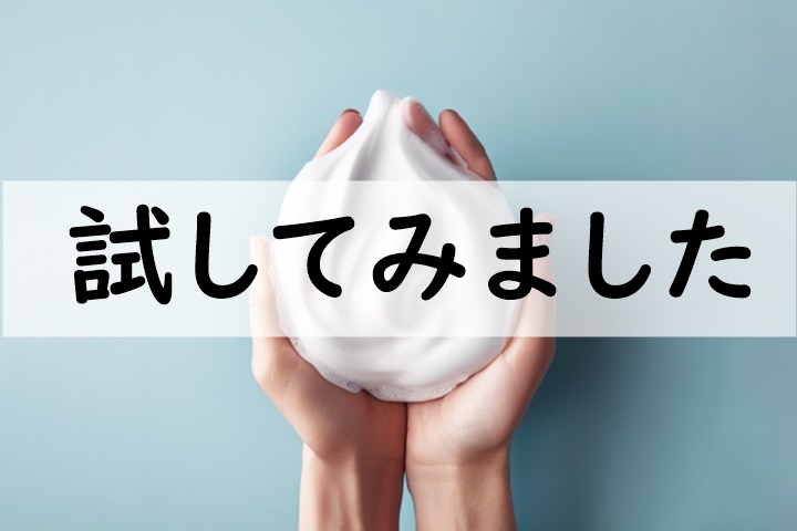試してみました