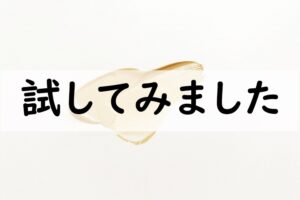 試してみました