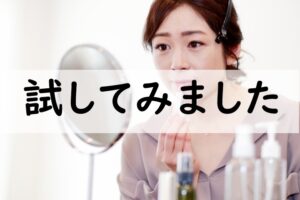 試してみました