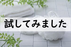 試してみました