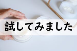 試してみました