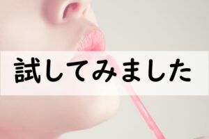 試してみました
