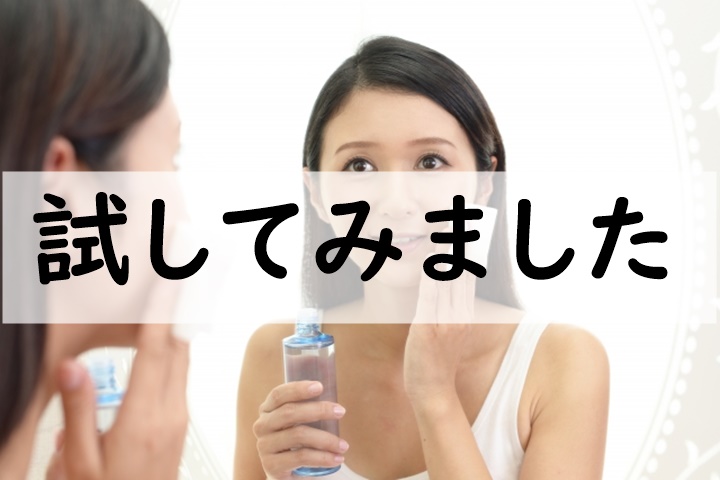 試してみました