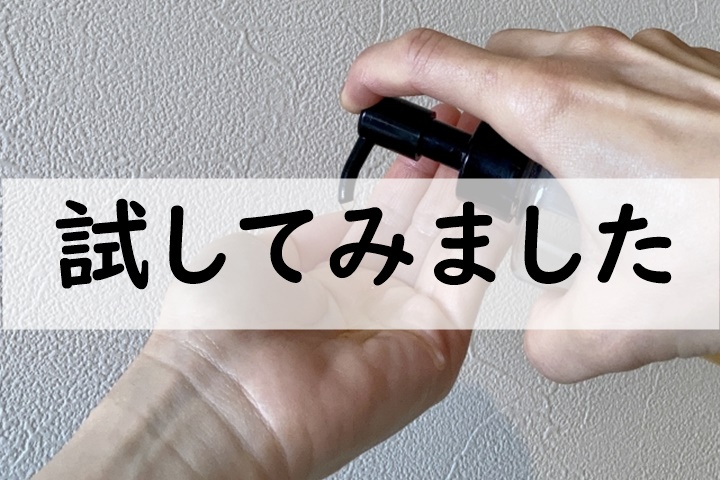 試してみました