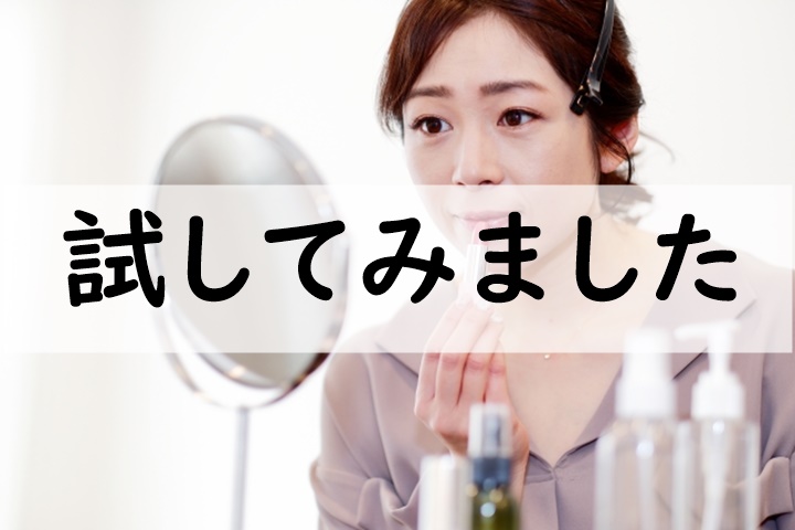 試してみました