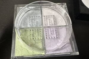 givenchyどんな商品なの2