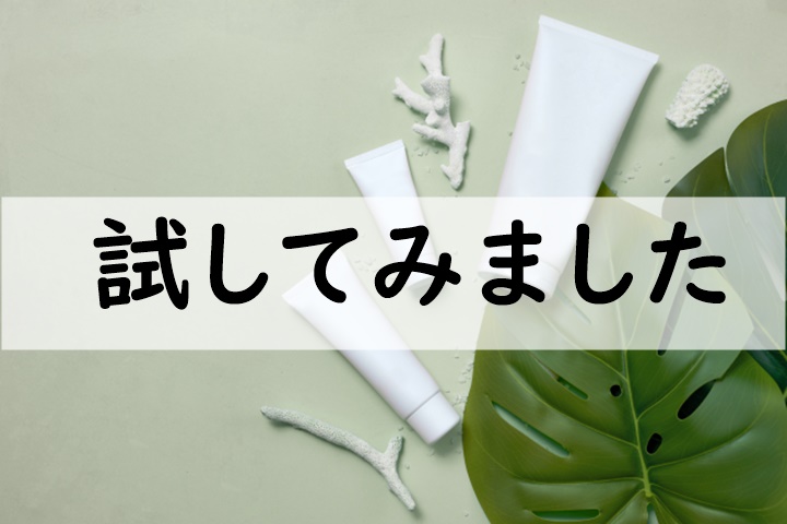 試してみました