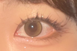 wonjungyoおすすめの使い方1