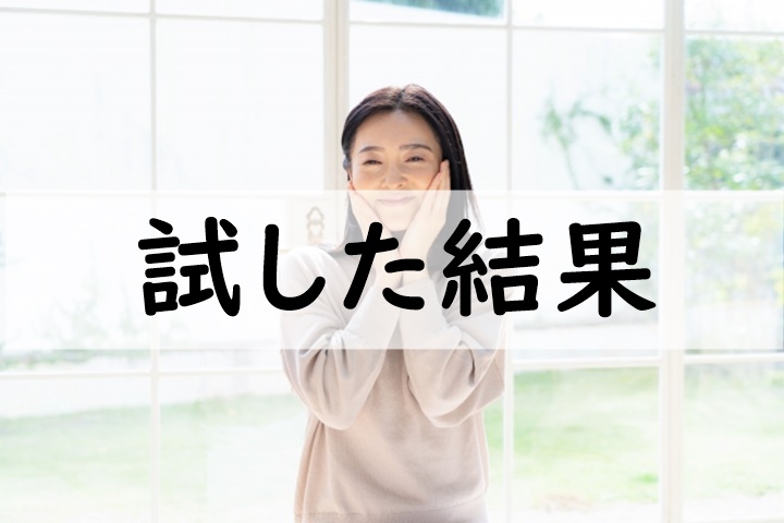 試した結果